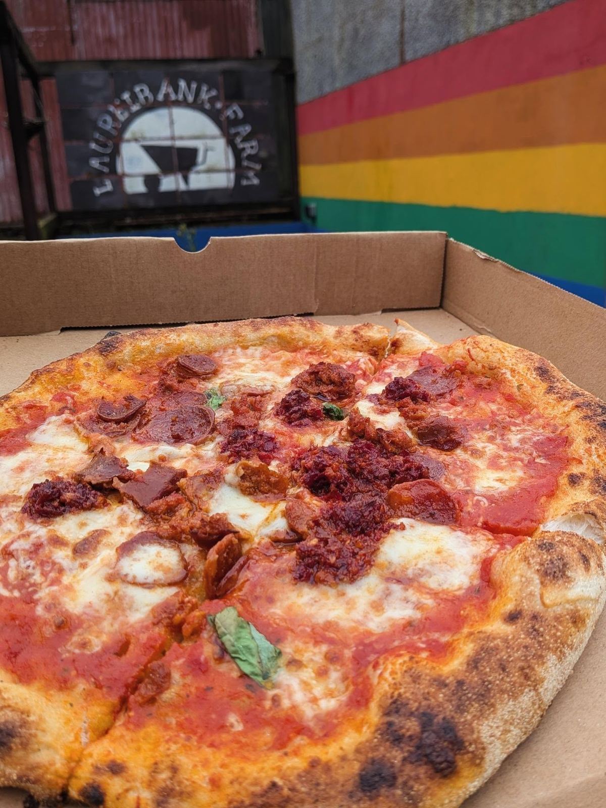 A freshly fired pizza topped with sausage, red onion and peppers in an open box